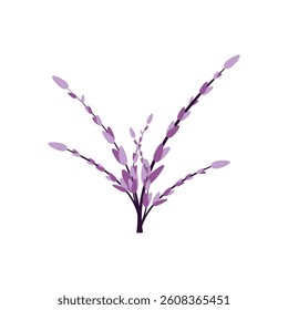 Bouquet of lavender isolated on a white background. Vector flowers, branches, bouquets of lavender, in Provence style, in eps 10 format. Design element for print and web.