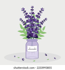A bouquet of lavender in a transparent vase.