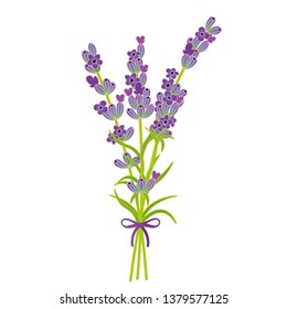 Bouquet of lavender. Vector illustration.