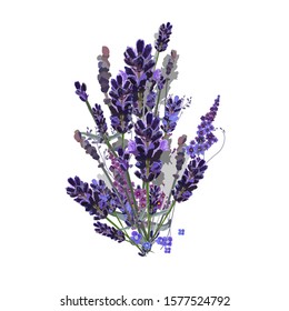 Bouquet with lavender and wildflowers and herbs Isolated on a white background. Plants and their silhouettes are arranged in an elegant composition. Vector for posters, fashion prints, cards.