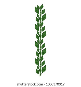 Bouquet of leaves