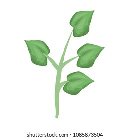Bouquet of leaves