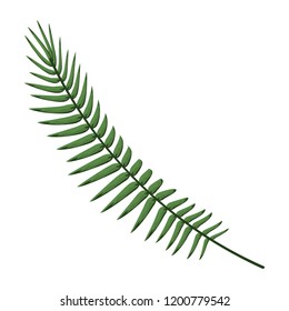 Bouquet of leaves