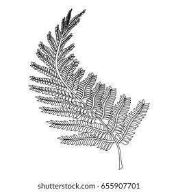 Bouquet of leaves