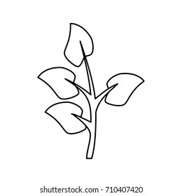 Bouquet of leaves
