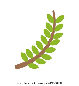 Bouquet of leaves