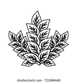 bouquet of leaves  vector illustration