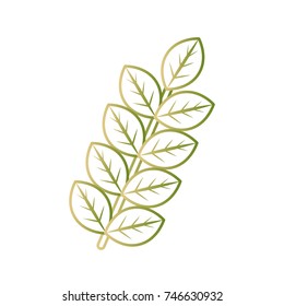 bouquet leaves  vector  illustration