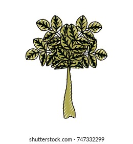bouquet  of leaves vector illustration