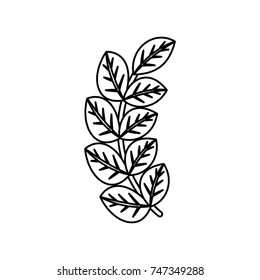 bouquet of leaves  vector illustration