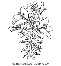 Bouquet of lilies in doodle style. Openwork illustration isolated on white background.