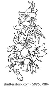 Bouquet of lilies. Element of decor. Bouquet in line style. Vector Flower Collection