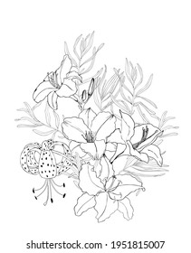 Bouquet of lilies isolated vector drawing