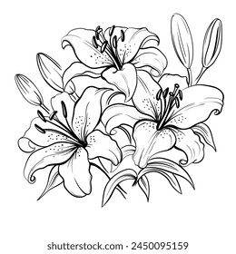 bouquet lilies boceto dibujado a mano en ilustración estilo doodle