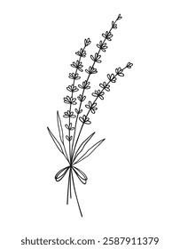 Bouquet of line art lavender flowers. Hand drawn wildflowers in black color, meadow herbs, and wild plants for design projects. Vector illustration