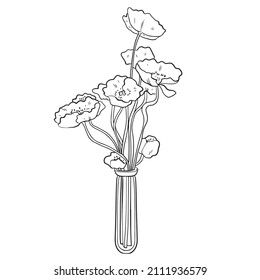 Bouquet in a linear style of anemone eucalyptus in a glass vase. Sketch, modern art.