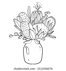 Bouquet in a linear style of proteas with eucalyptus in a vase. Sketch, modern art.