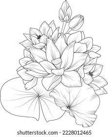 Bouquet of lotus flower hand drawn pencil sketch coloring page and book for adult isolated on white background floral element illustration ink art.
