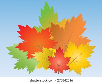 bouquet of maple leaves