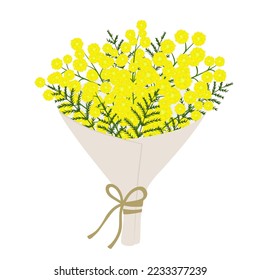 Bouquet of mimosa. Element for greeting card