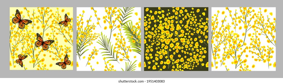 Bouquet of mimosa. From March 8. Seamless light and dark backgrounds . Vector illustration