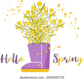 Bouquet of mimosa in pink-violet rain boot. Spring yellow flowers. Hello Spring postcard. Easter flower composition. Vector illustration on white