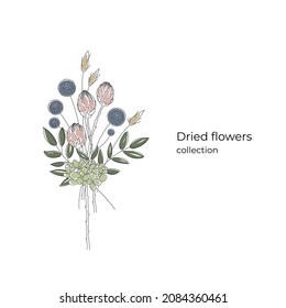 A Bouquet Of Minimalistic Dried Flowers: Lagurus, Ruscus, Protea, Echinops, Editable String. Concept For A Postcard. Vector Illustration