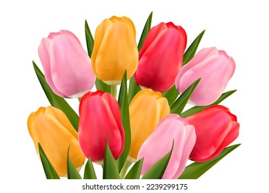 Bouquet of multi-colored tulips on a white background. The concept of mother's day, women's day. Vector image