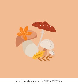 Bouquet of mushrooms vector illustration