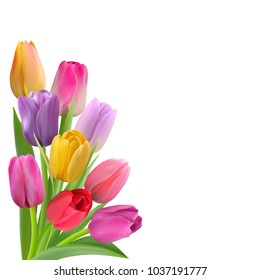 Bouquet of night colorful tulips on the left bottom of the card. Photo-realistic vector spring flowers with place for congratulation text on a white background.