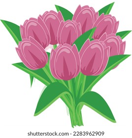 bouquet of nine pink tulips with green leaves without background
