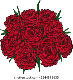 A bouquet of nine red roses on a white background. Illustration flowers bouquet of roses. Gift bouquet of burgundy roses