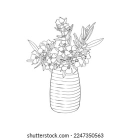 Bouquet of Oleander (flower) in a vase. Hand draw vector for coloring page