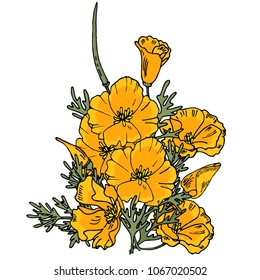 a bouquet of orange flowers. California poppy. Eschsolcia.