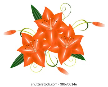 Bouquet of orange lilies.