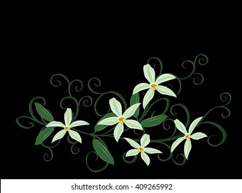 A bouquet of orchids. Vector illustration of Curling vines of the orchids of vanilla.