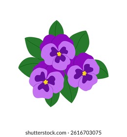 Bouquet of pansies. Violets flowers with green leaves. Beautiful home plant. Hand drawn vector illustration isolated on white background. Modern flat cartoon style.