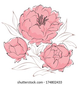 Bouquet of peonies