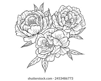 Bouquet of peonies. Peonies drawn using sketch technique. Three peonies hand drawn outline isolated on transparent background