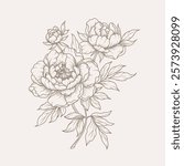 Bouquet of Peonies Flowers and Leaves. Hand drawn floral pattern in line art style. Vector elegant botanical sketch illustration 