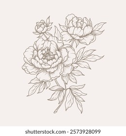 Buquê de peônias flores e folhas. Padrão floral desenhado à mão em estilo de arte em linha. Ilustração do esboço botânico elegante do vetor 