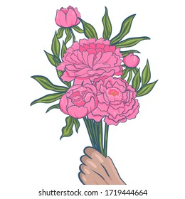 Bouquet of peonies in hand isolate on a white background. Vector graphics.
