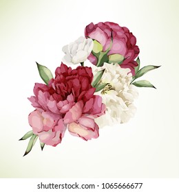 Bouquet of peonies , watercolor, can be used as greeting card, invitation card for wedding, birthday and other holiday and  summer background. Vector.