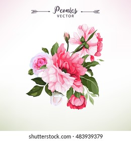 Bouquet of peonies, watercolor, can be used as greeting card, invitation card for wedding, birthday and other holiday and  summer background. Vector illustration.
