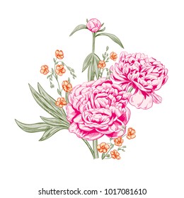 Bouquet of peony, flax: pink, orange flowers, bud, green stems, leaves on white background. Botanical illustration for design, hand draw in engraving vintage style, etching, vector