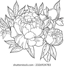 Bouquet of peony flower hand drawn pencil sketch, coloring page, and book for adults isolated on white background floral element tattooing, illustration ink art, blossom peony, spring collect.