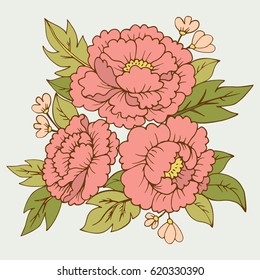 Bouquet of peony flowers / vector 