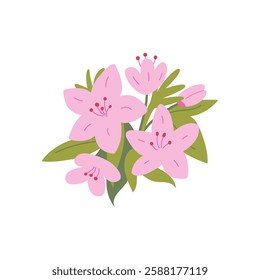 Bouquet of pink azalea flowers on isolated background. Vector flat botanical illustration