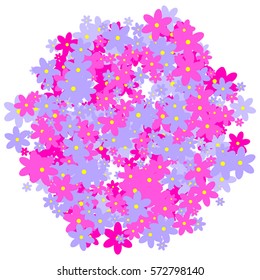 Bouquet. Pink and blue flowers on a white background.