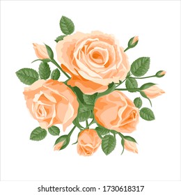 A bouquet of pink ivory roses. Vector decoration, illustration with roses and leaves. For postcards, wedding invitations, textiles. Elegant bunch of coral roses in a retro, Victorian style
